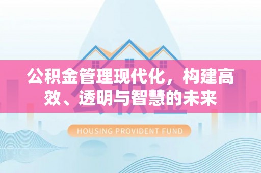 望安公积金管理现代化，构建高效、透明与智慧的未来