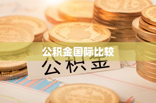 望安公积金国际比较