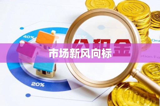 望安市场新风向标