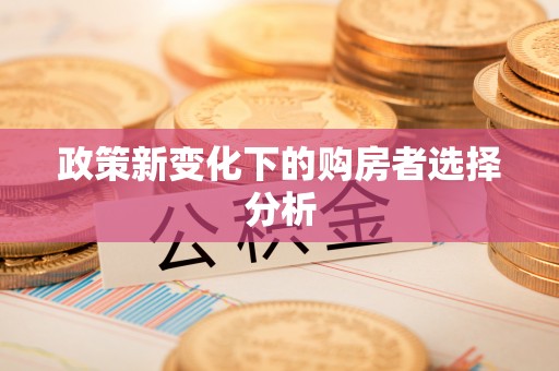 望安政策新变化下的购房者选择分析