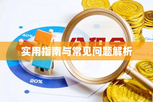 望安实用指南与常见问题解析