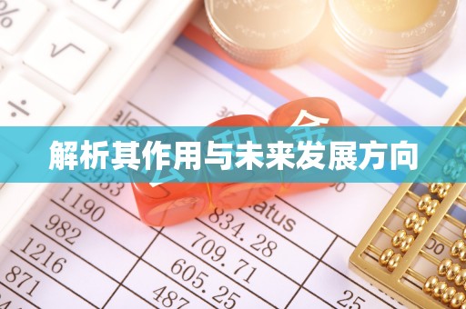 望安解析其作用与未来发展方向
