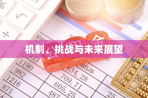 望安机制、挑战与未来展望